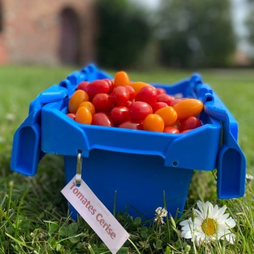 Photo de: Tomate Cerise